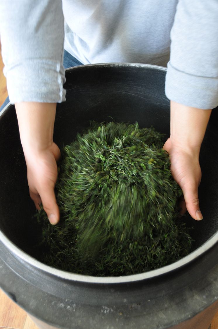 Koreanske temästaren rostar grönt te