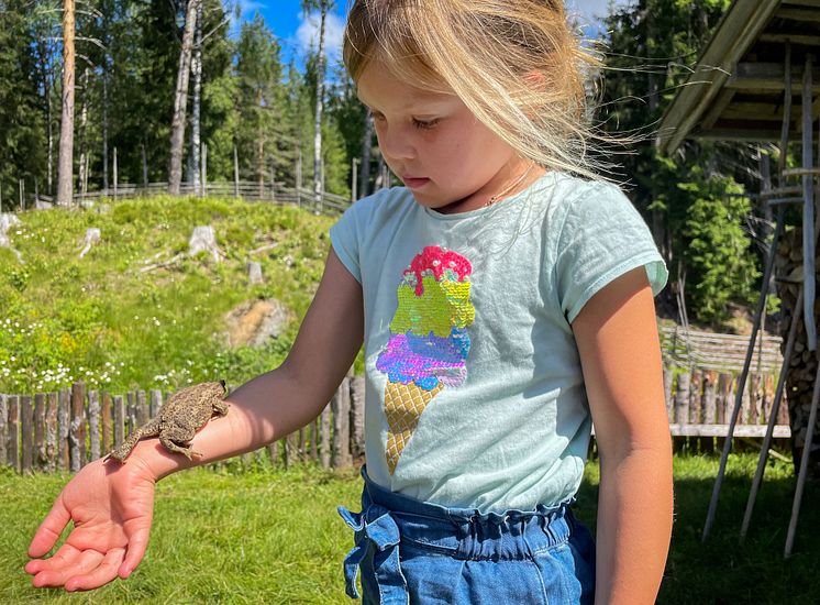 Liten pike på Skålbergsætra