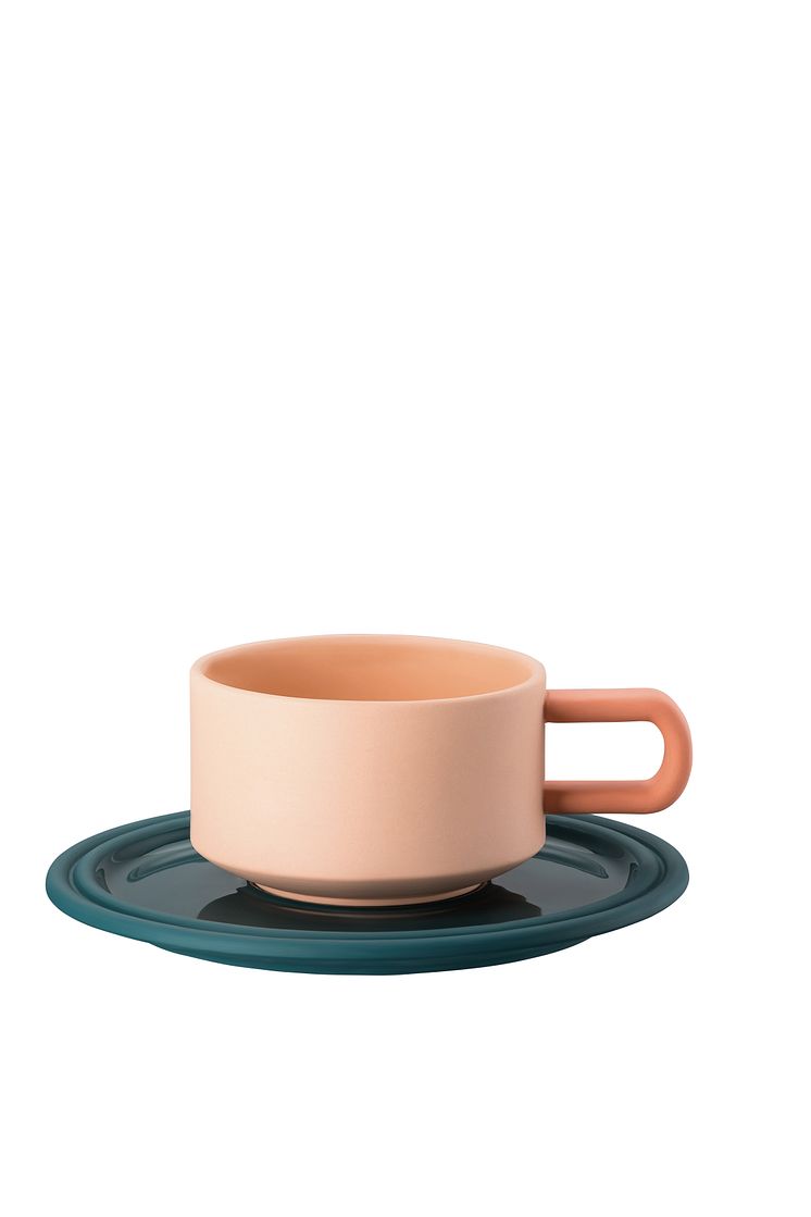 R_Tongue_Pelican_Tea_cup_and_saucer