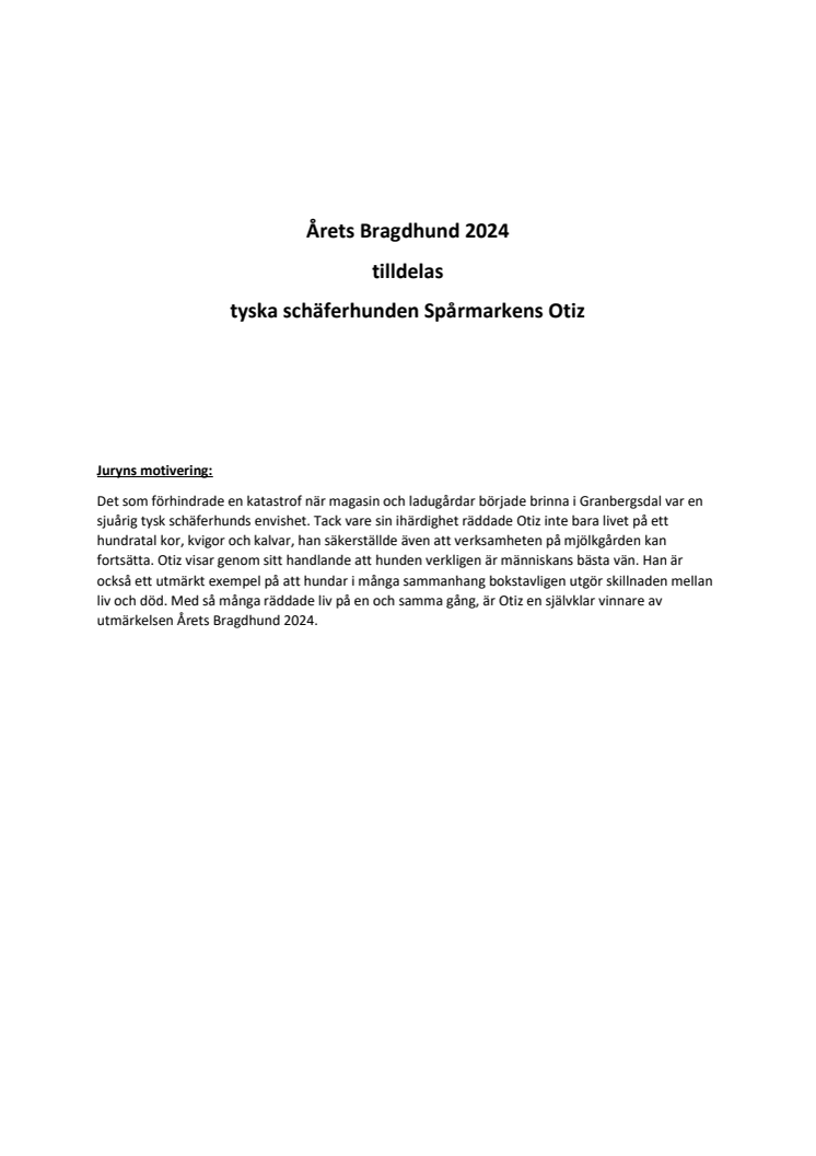 Årets Bragdhund 2024 - juryns motivering.pdf