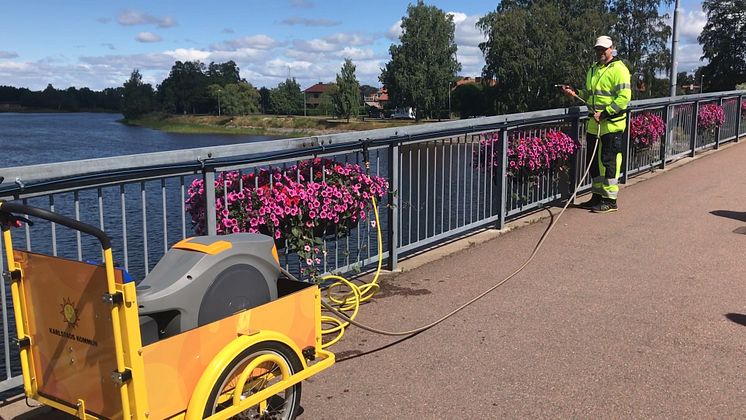 Dimitar Pigov på teknik- och fastighetsförvaltningen vattnar