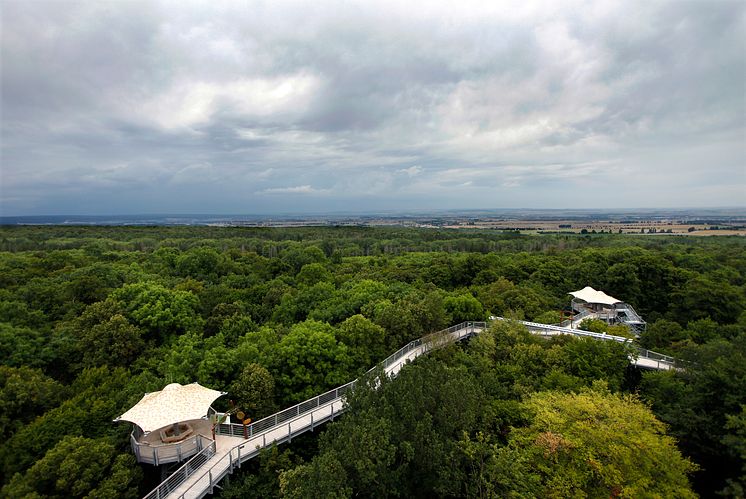 Nationalpark Hainich i Thüringen