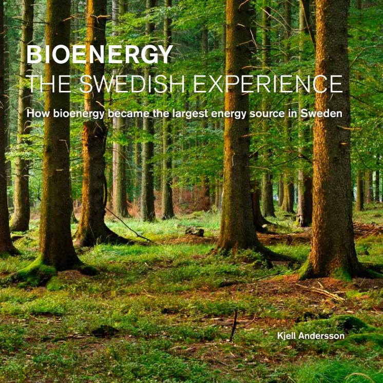 Bioenergy – The Swedish experience
