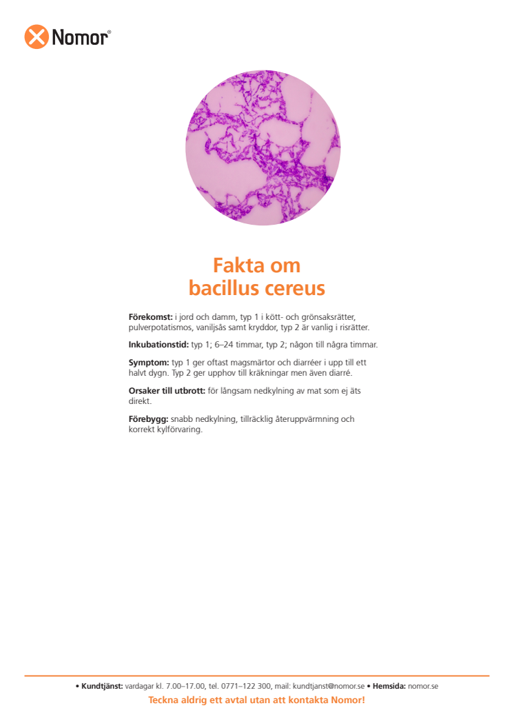 Fakta om bacillus cereus