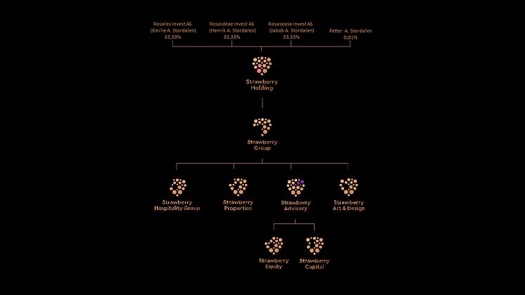 NY EIERSTRUKTUR: Det nye organisasjonskartet for Strawberry Holding. Petter A. Stordalen beholder 0,01 prosent av selskapet, mens de tre barna overtar 33,33 prosent hver.