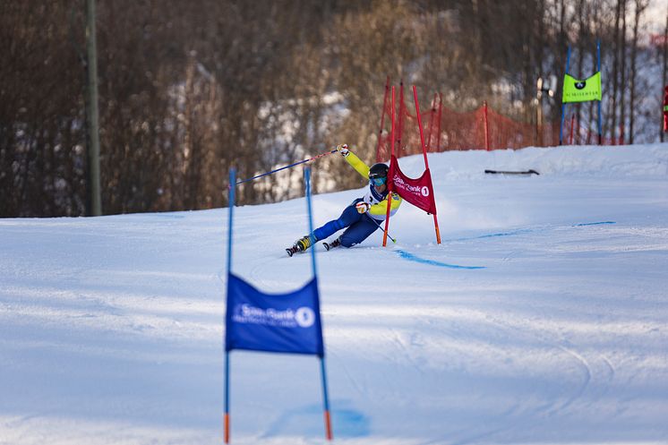 Olle Collberg, landslagsåkare i telemark