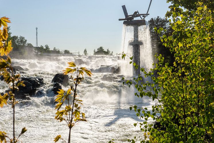 Hønefossen og Oppgangssaga juni 2023