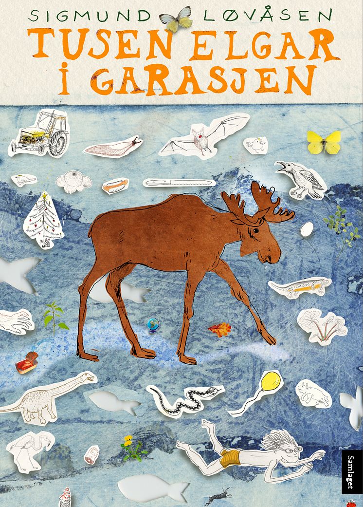 9788234010156 _løvåsen_tusenelgarigarasjen