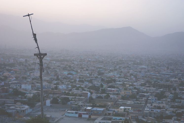Afghan Tales Grafted Antenna, Kabul by Sulaiman Edrissy