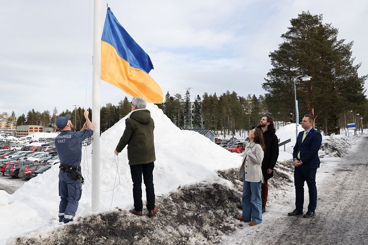 Ukrainas flagga 3.jpg