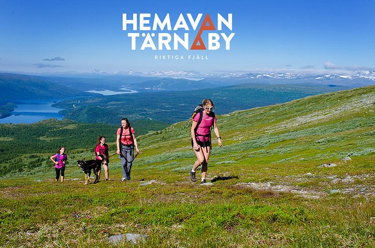 Hemavan Tärnaby - Fjällvandring på Ryfjället