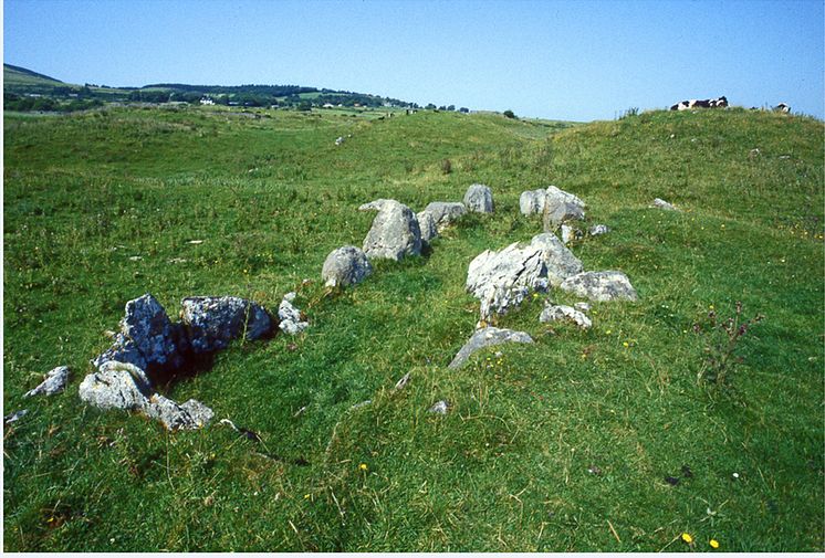 Primrose, Ireland, before excavation