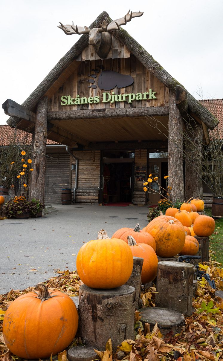 Skånes Djurpark under Höst i Djurparken