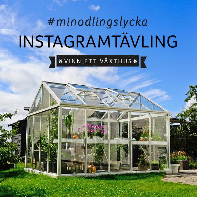 Instagramtävling Blomsterlandet #minodlingslycka