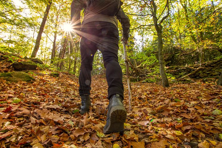 Wandern im Erzgebirge_Photoron