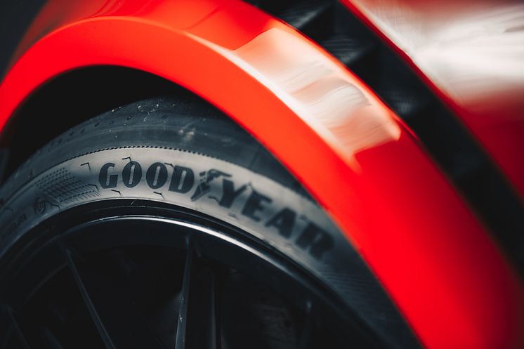 GOODYEAR_EF1SS_GT2RS_Pitbox_7