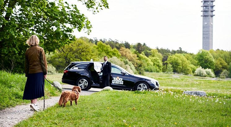 Taxi Stockholms hållbarhetsredovisning för 2022 är fastställd