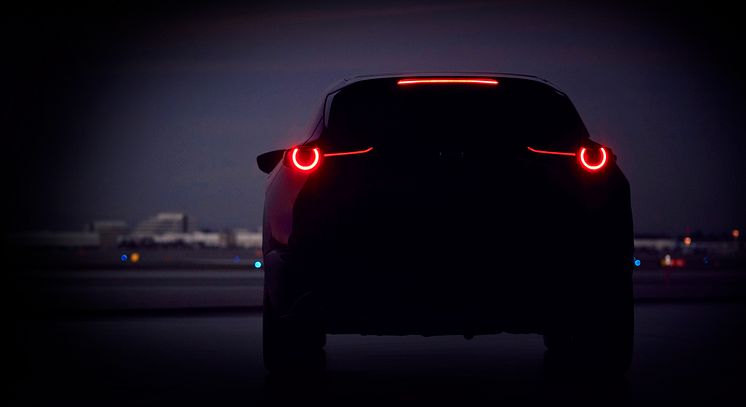 Geneva_Teaser 19