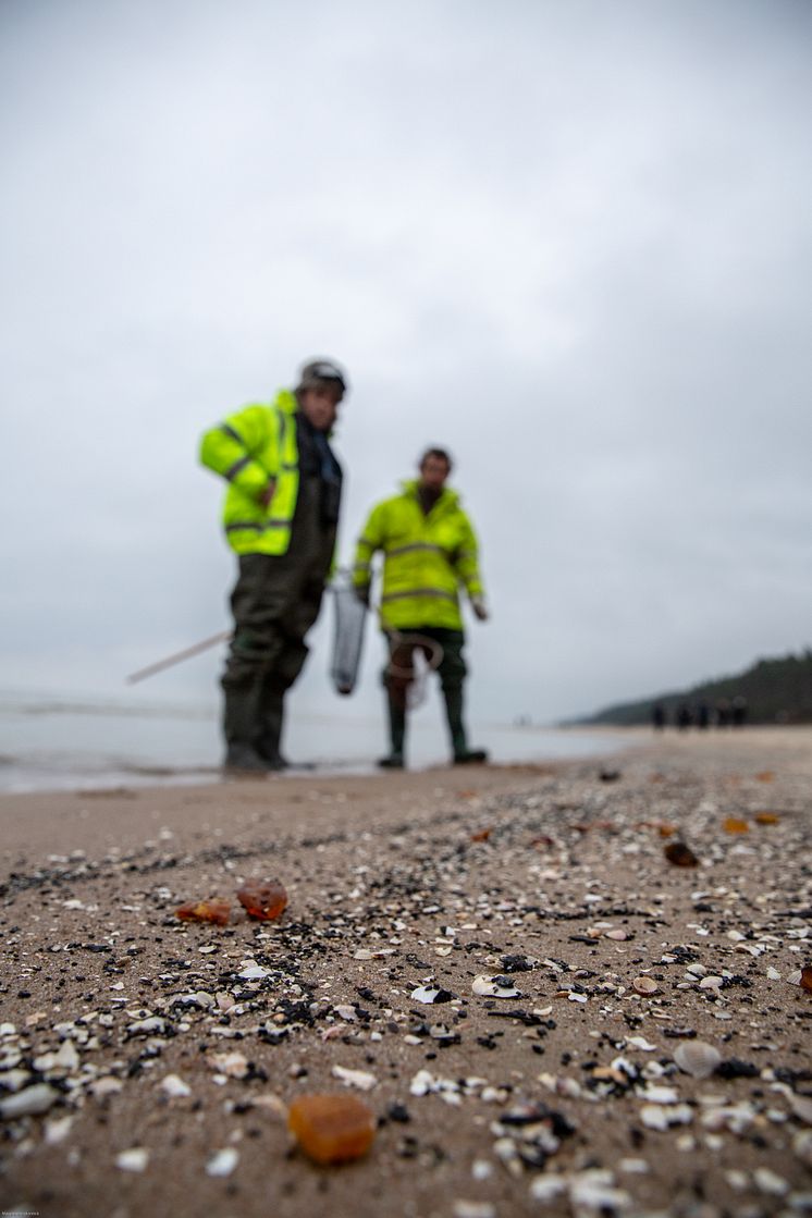 The Hunt for Baltic Gold HISTORY