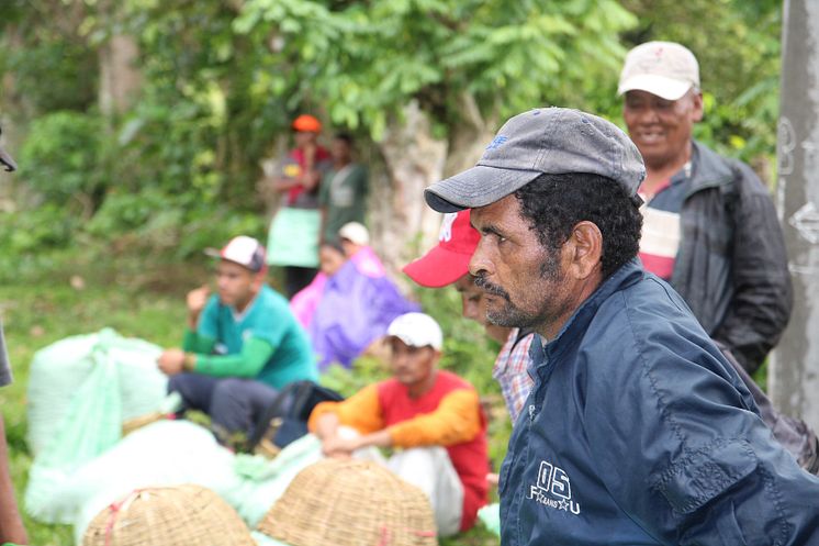 Kaffeplukker Nicaragua.jpg
