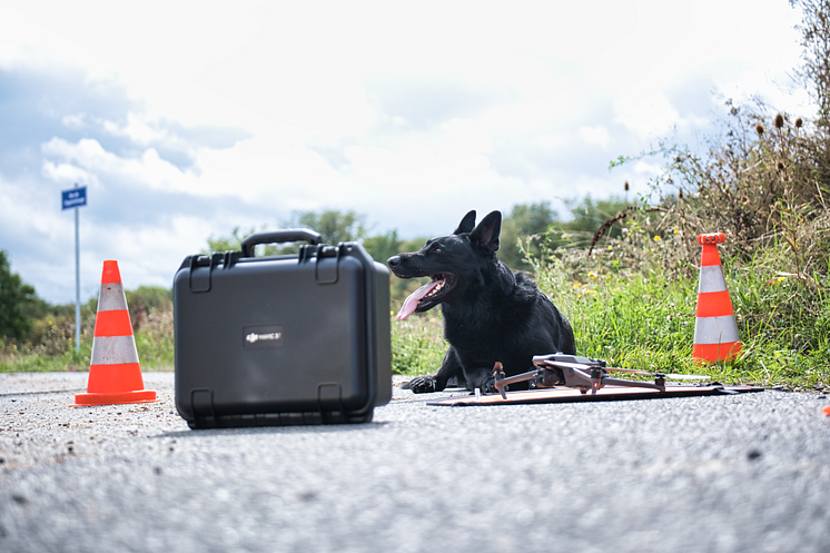 The Dog and The Drone