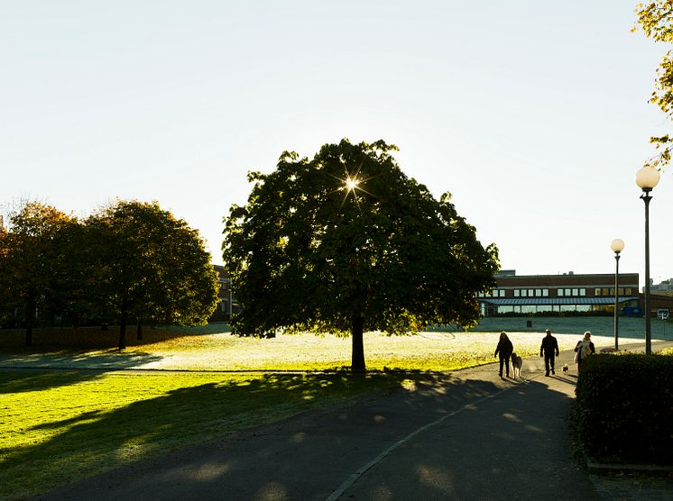 Campus Näckrosen, Göteborgs universitet