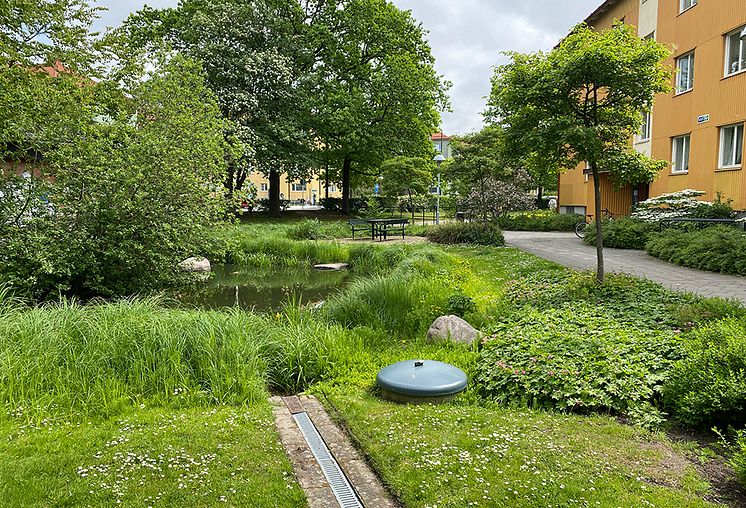 klimatanpassning Augustenborg