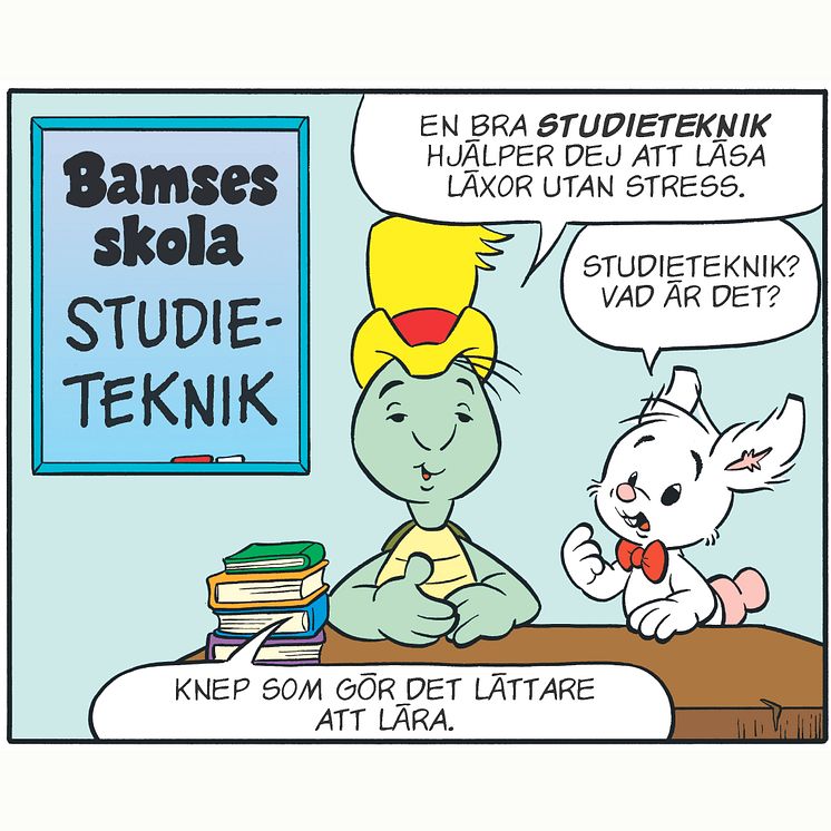 skola_studie.jpg