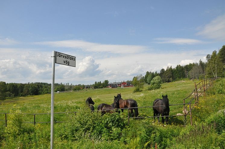 Järvsöfaks väg hage