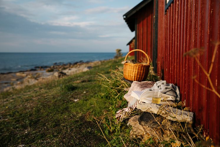 Neptuni åkrar