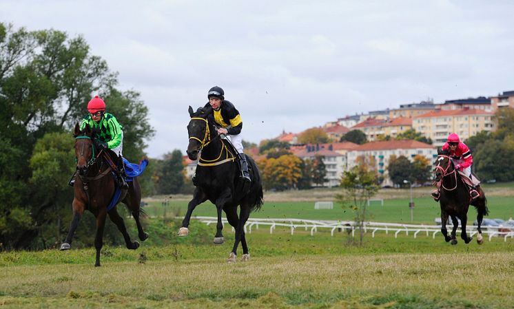 Galopp på Djurgården