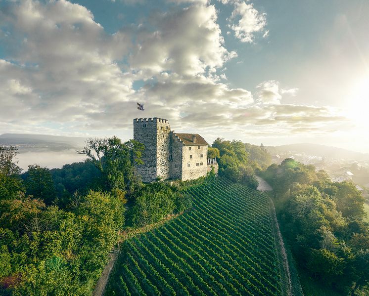 Schloss Habsburg, Region Aargau