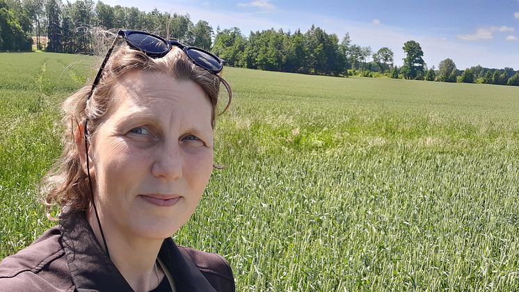 Satellitbaserade modeller för precisionsgödsling