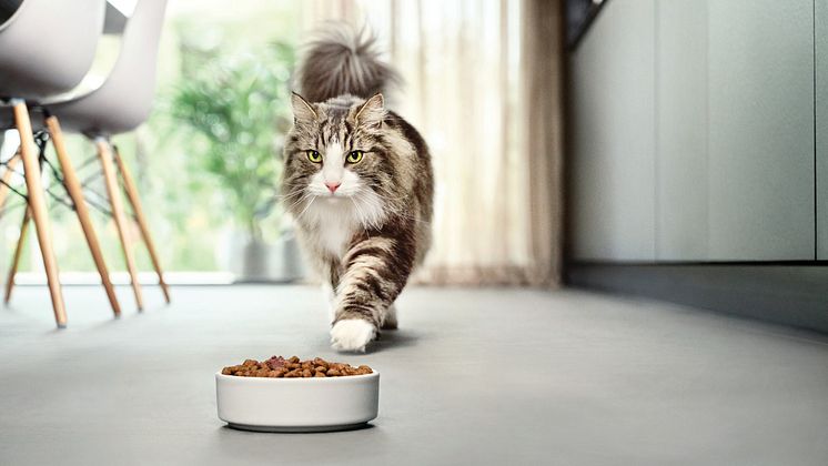 Purina_LiveClear_KitFeed_2644_LTD_CMYK_RT