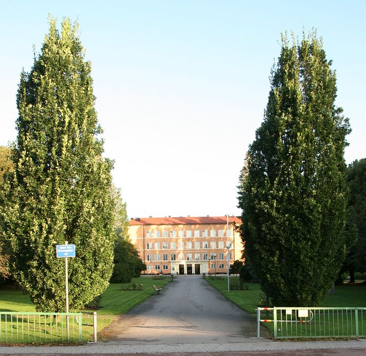 Engelska skolan i Linköping