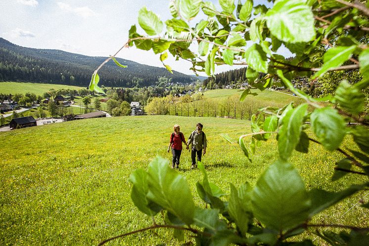 Kammweg Rittersgrün_Foto TVE_Rene Gaens.jpg