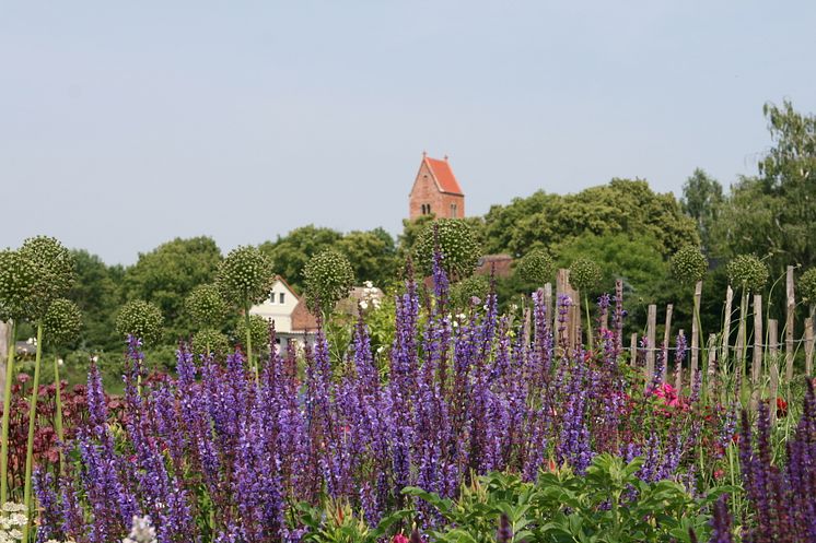 Bioland Rosenschule in Manschow