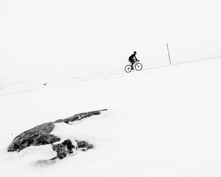 Foto: Jered Gruber