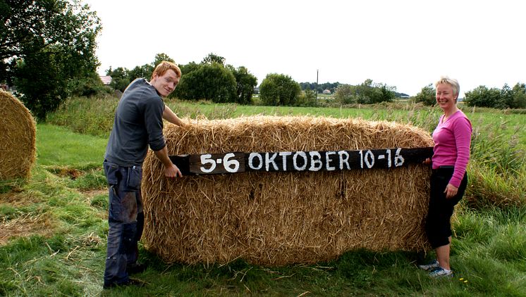 Arbete pågår inför Skördefesten 5-6 oktober på Tjolöholms Slott