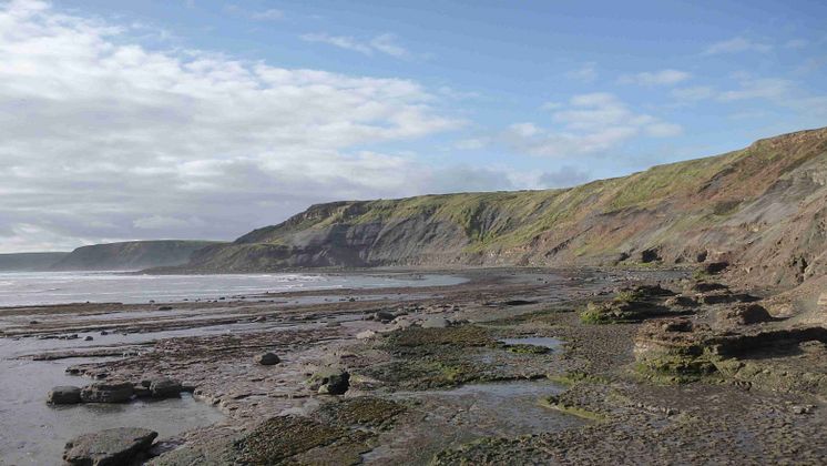 Yorkshire, UK. Klippor med fossil från global uppvärmning under dinosauriernas tid