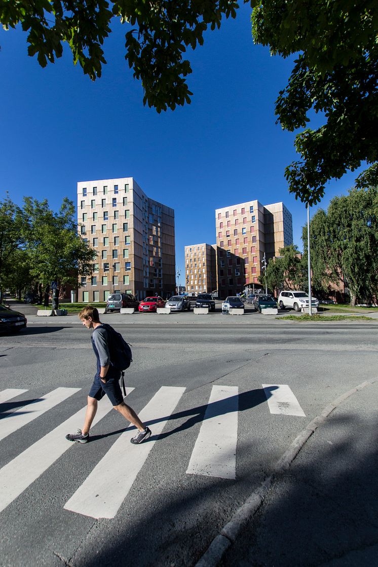 Moholt 50 | 50 Studentenwohnheim in Trondheim - Kebony Fassade