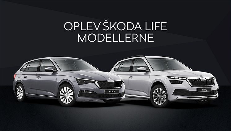 600x340_Nyhedsbrev_u_knap.jpg