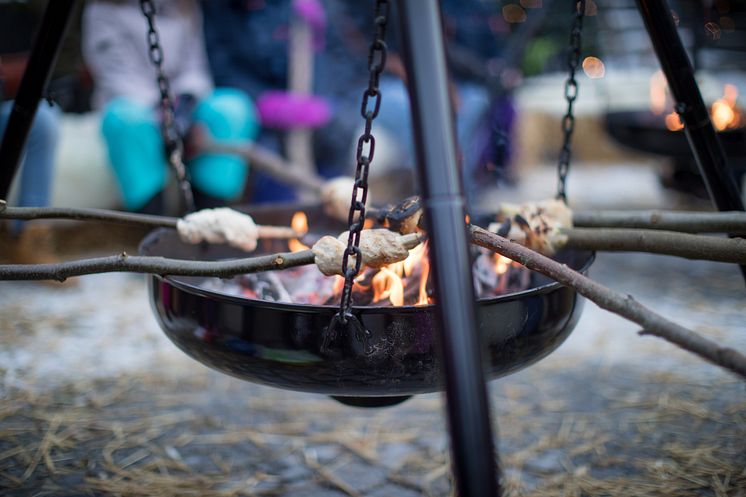 Gratis bålmatkurs med Geitmyra - FOTO Ringsaker kommune.jpg