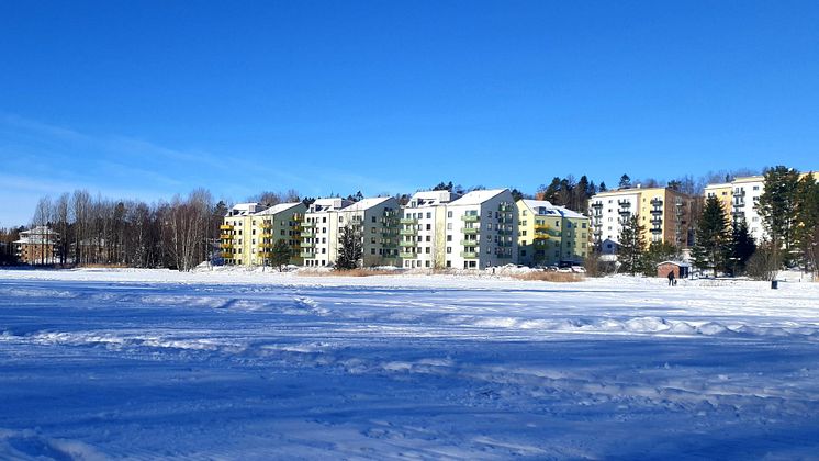 Maklarkollen_koparkollen_jan23