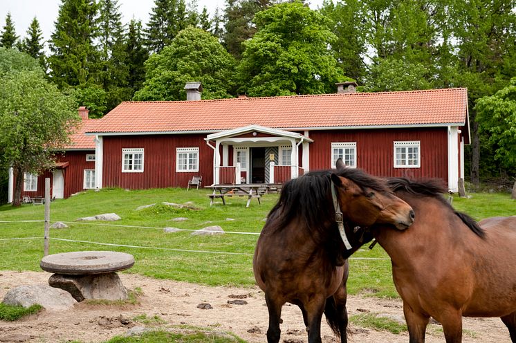 Kvarntorp finngård, Lekvattnet