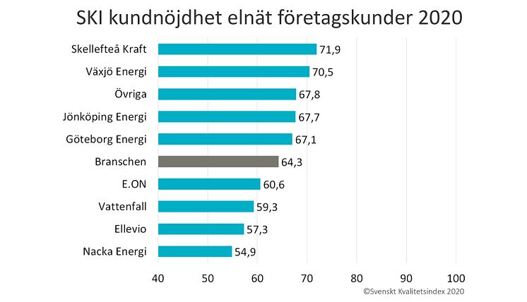 SKI elnat foretag 2020.jpg