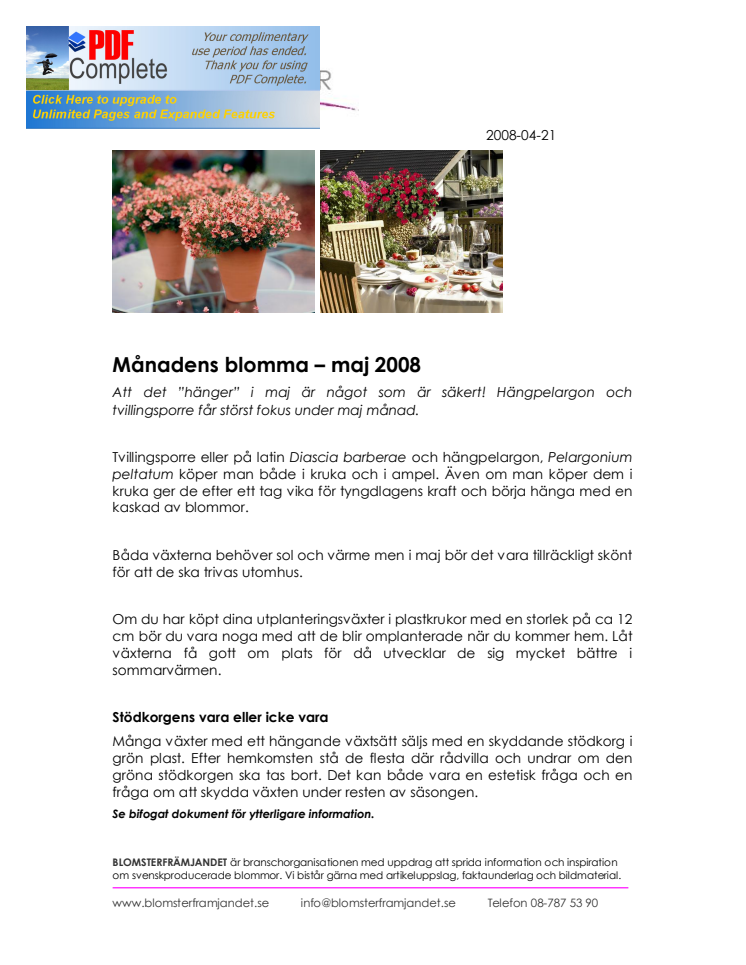 Månadens blomma – maj 2008