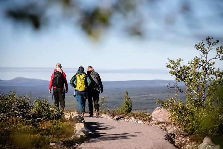 Vandring sommar Lofsdalen