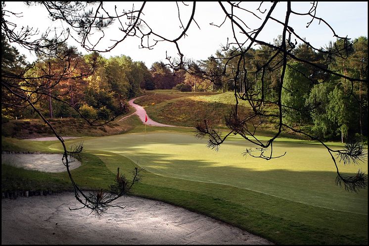 3 SRG VEST 6 Lille Bjørn b - Silkeborg Ry Golfklub