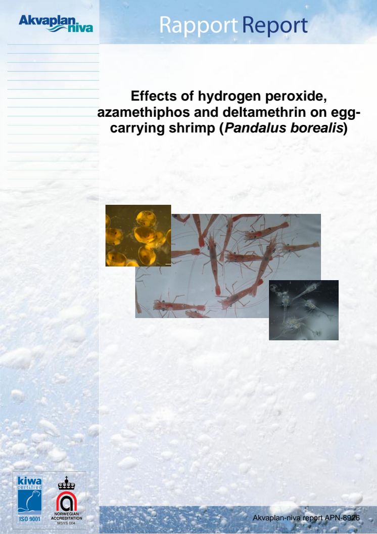 Lusemidler og egg-bærende reker Akvaplan-niva rapport